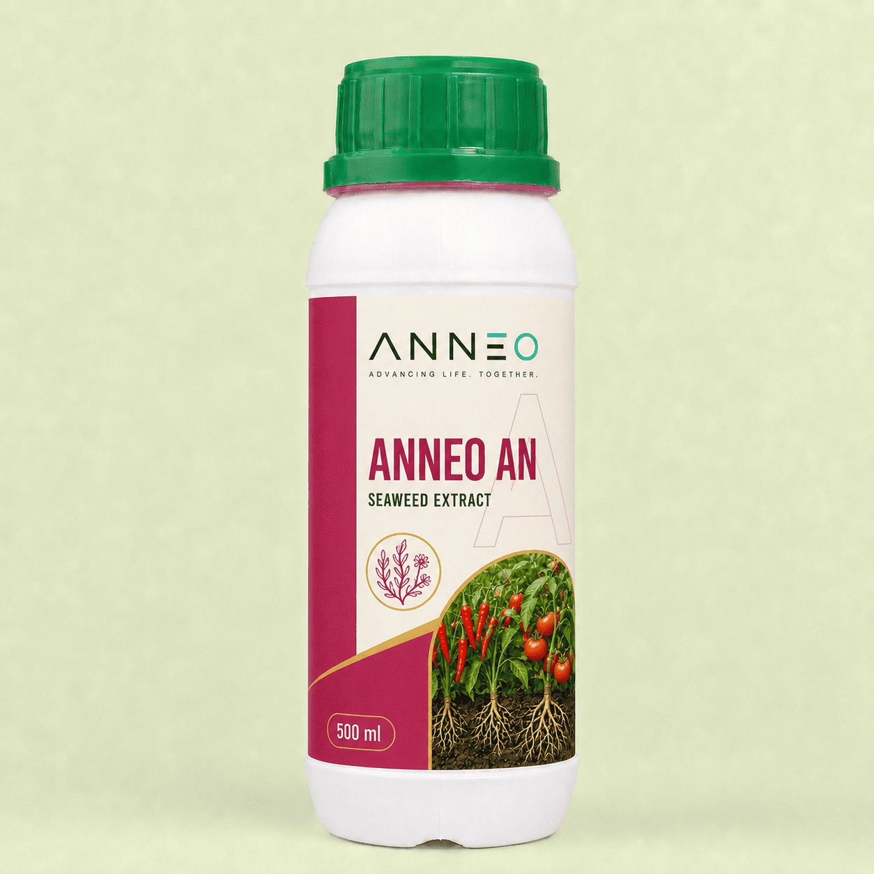 Anneo AN seaweed extract